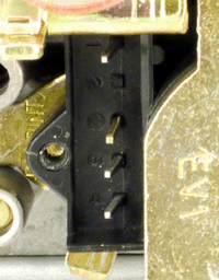 bs riva h03746 gv soleniod.gif